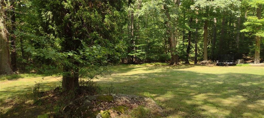 0 Chestnut Ridge Road Blairsville, PA 15717 - Photo 5 of 7 a view of yard with large trees