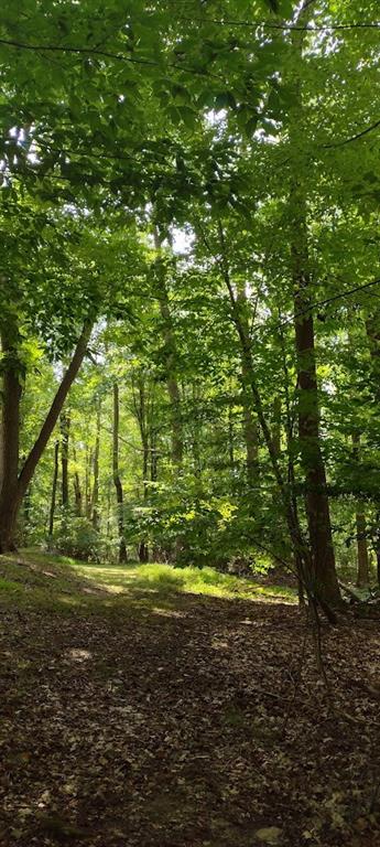 0 Chestnut Ridge Road Blairsville, PA 15717 - Photo 6 of 7 a view of a yard