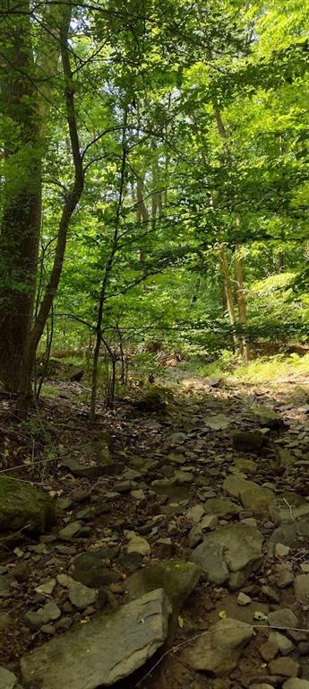 0 Chestnut Ridge Road Blairsville, PA 15717 - Photo 7 of 7