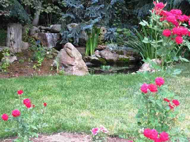 5320 East Handy Road Colbert, WA 99005 - Photo 6 of 8