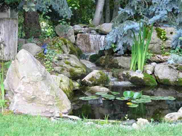 5320 East Handy Road Colbert, WA 99005 - Photo 7 of 8