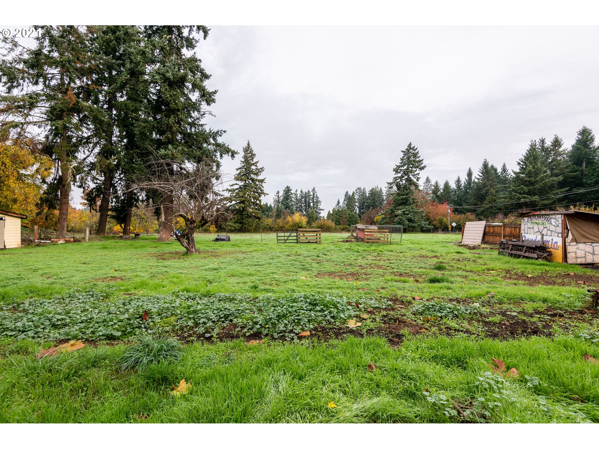 84832 Edenvale Road Pleasant Hill, OR 97455 - Photo 23 of 32 a view of a green field with trees