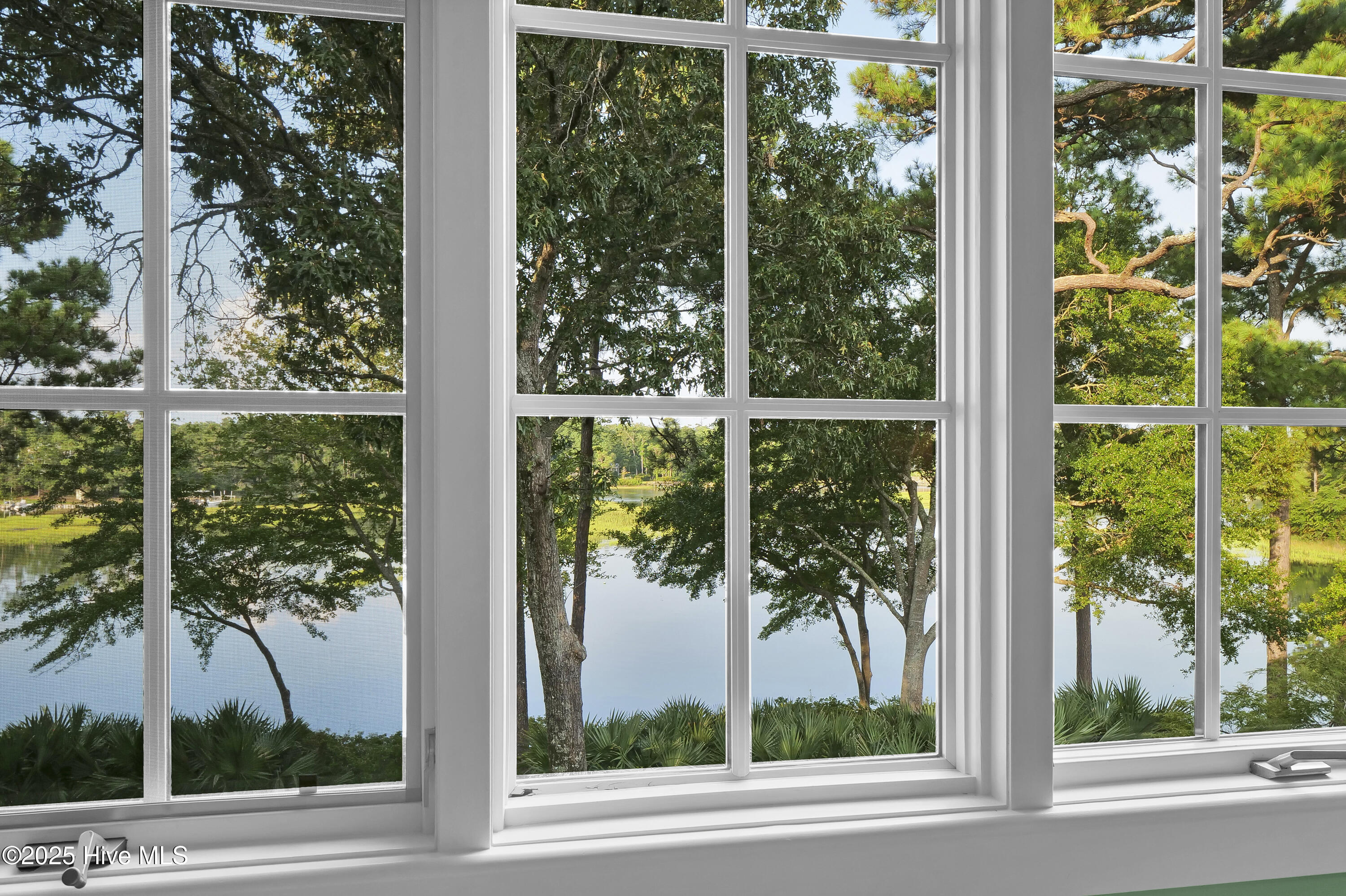 809 Howe's Point Place Wilmington, NC 28405 - Photo 40 of 77 040_p2077542_906