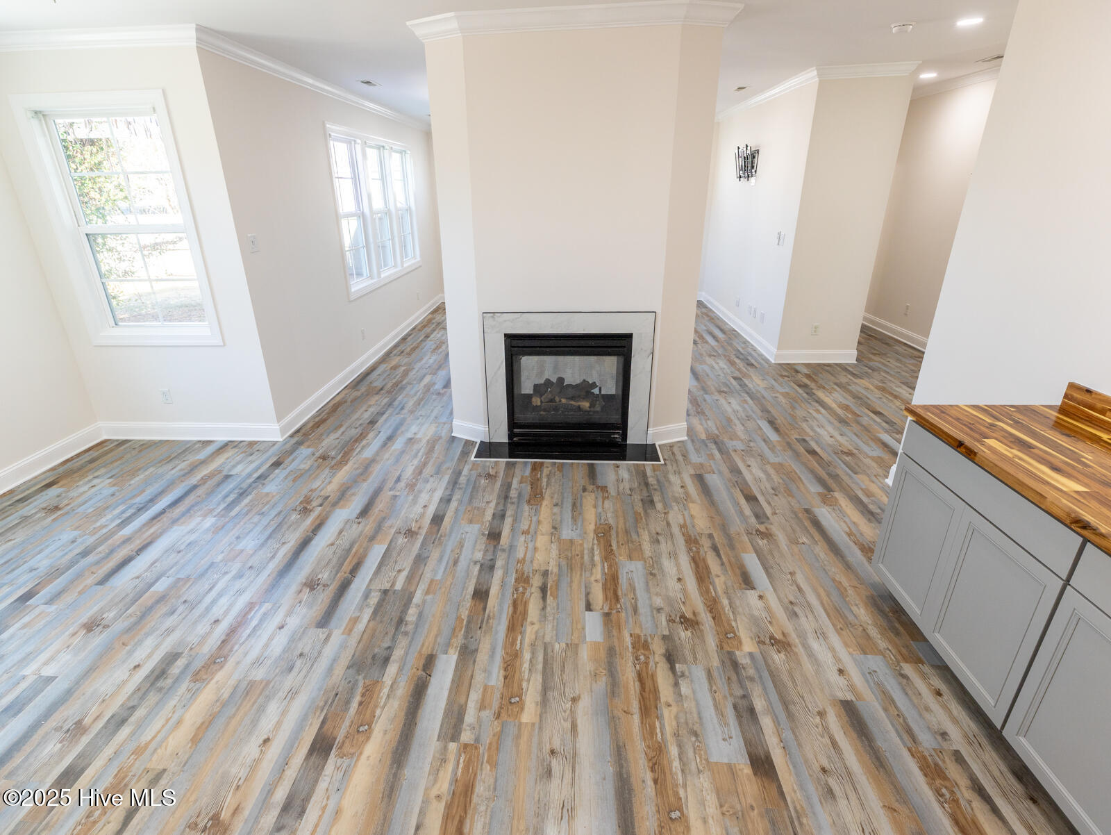 211 Cheswick Drive Holly Ridge, NC 28445 - Photo 23 of 65 Double-sided fireplace