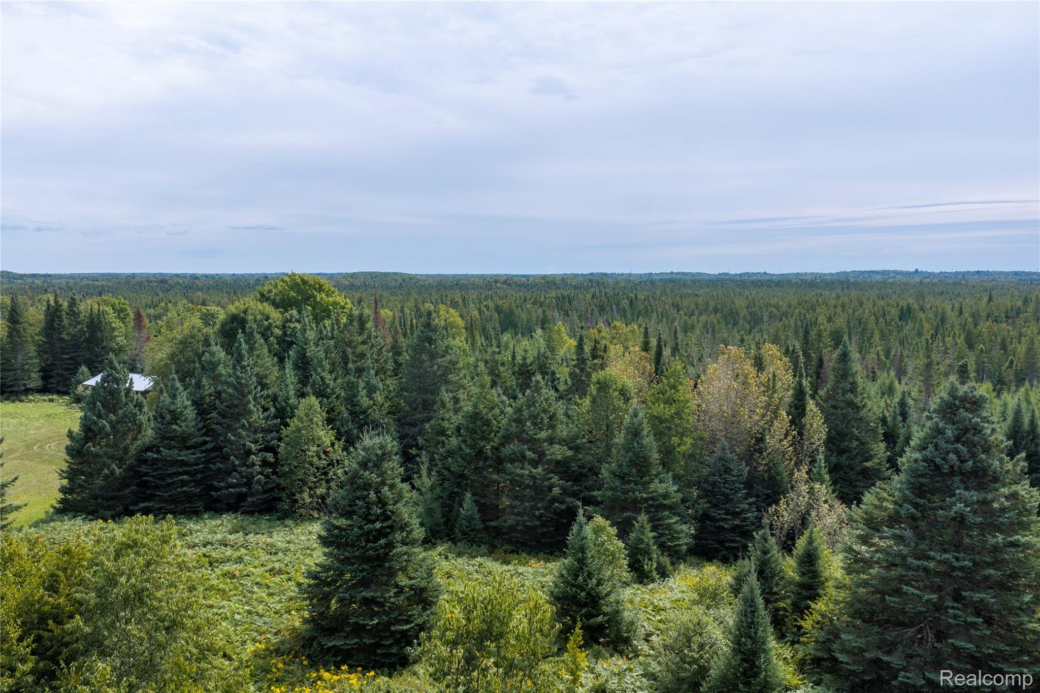 23 Camp 23 Road Germfask, MI 49836 - Photo 10 of 18 10.jpg