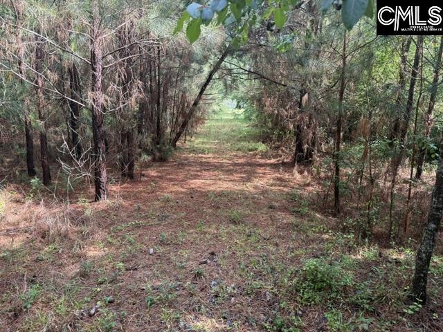 0 Old Jolleystreet Road Prosperity, SC 29127 - Photo 2 of 5