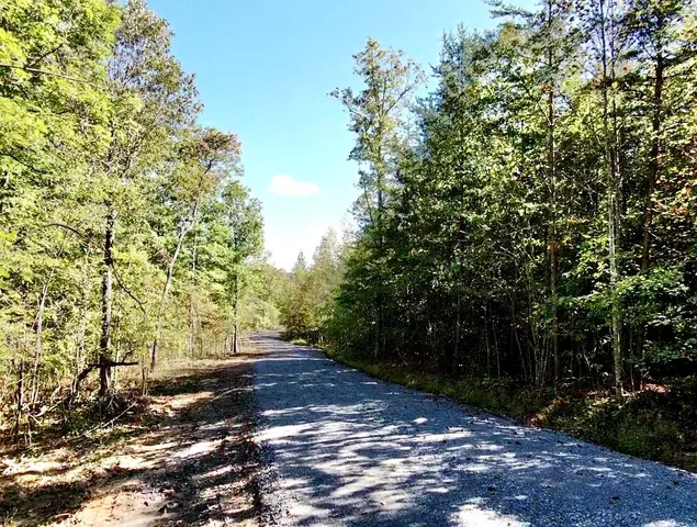 $102,144 | 0 Owl Hollow Road, Unit LOT 5, Palmer, TN 37365