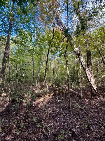 $102,144 | 0 Owl Hollow Road, Unit LOT 5, Palmer, TN 37365