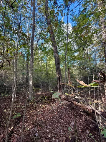 $102,144 | 0 Owl Hollow Road, Unit LOT 5, Palmer, TN 37365
