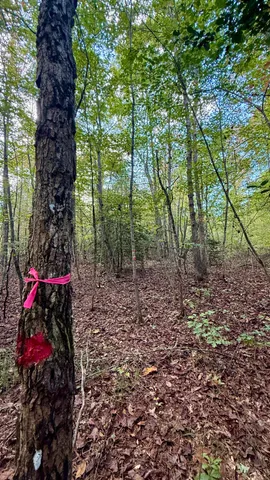 $102,144 | 0 Owl Hollow Road, Unit LOT 5, Palmer, TN 37365