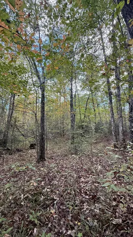 $102,144 | 0 Owl Hollow Road, Unit LOT 5, Palmer, TN 37365