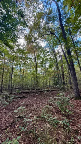 $102,144 | 0 Owl Hollow Road, Unit LOT 5, Palmer, TN 37365