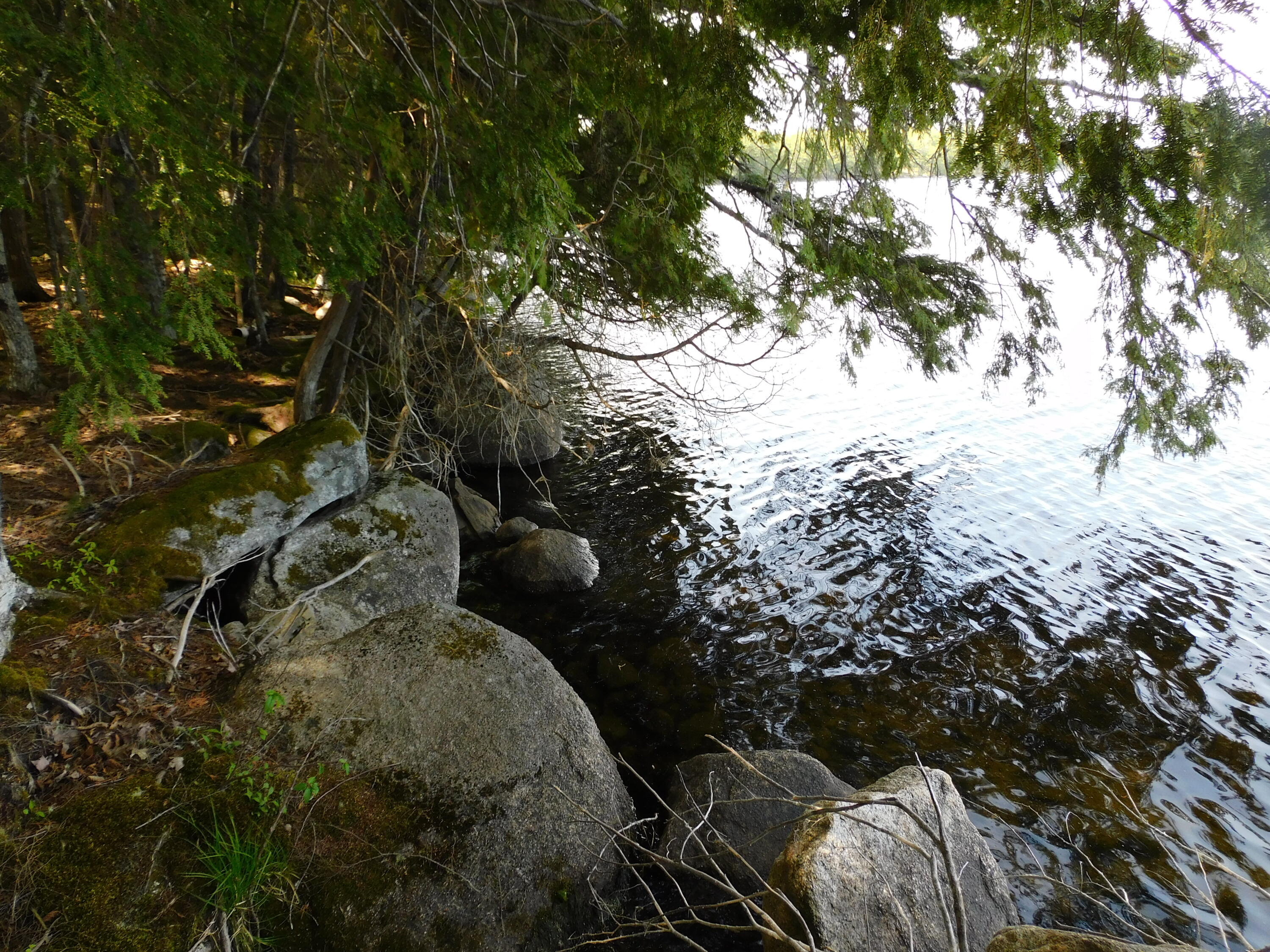 Lot 2 Big Lake Shores Road Princeton, ME 04668 - Photo 6 of 10 DSCN0092
