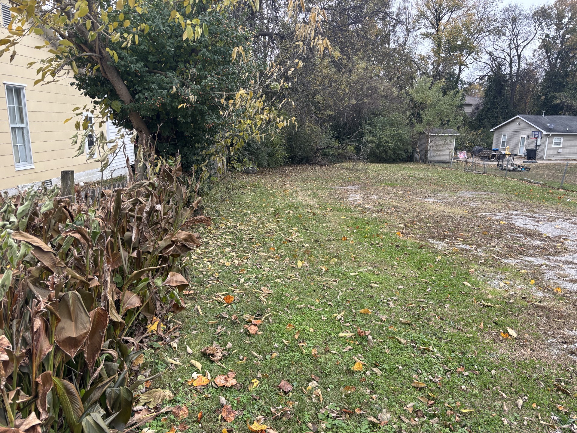133 Rucker Avenue Franklin, TN 37064 - Photo 2 of 3 a view of a field with plants and trees