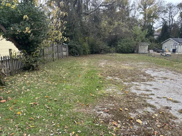 a view of a yard with large trees
