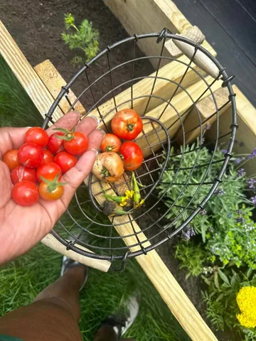 a backyard of a house with lots of green space and a fountain