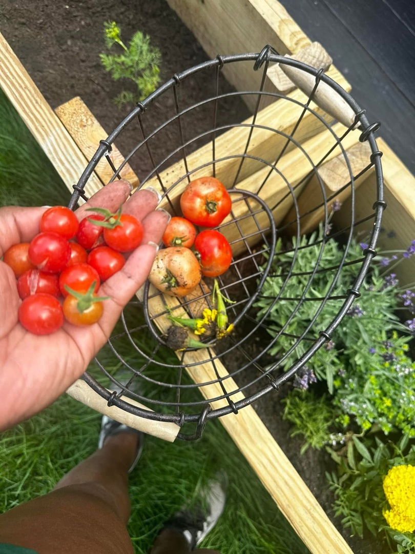 129 Cornwall Drive Crete, IL 60417 - Photo 28 of 30