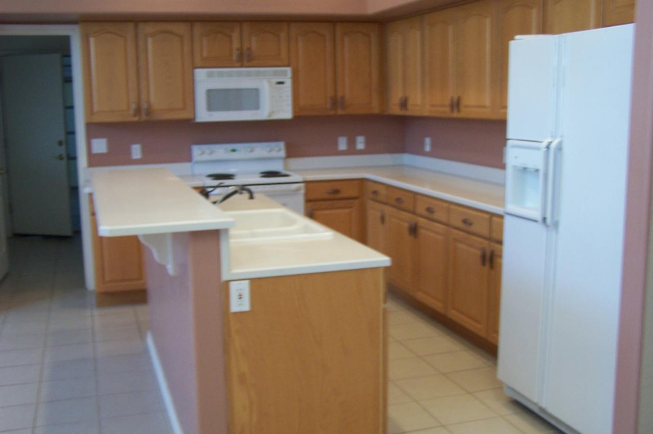 164 South Geronimo Road Apache Junction, AZ 85119 - Photo 5 of 5 Kitchen