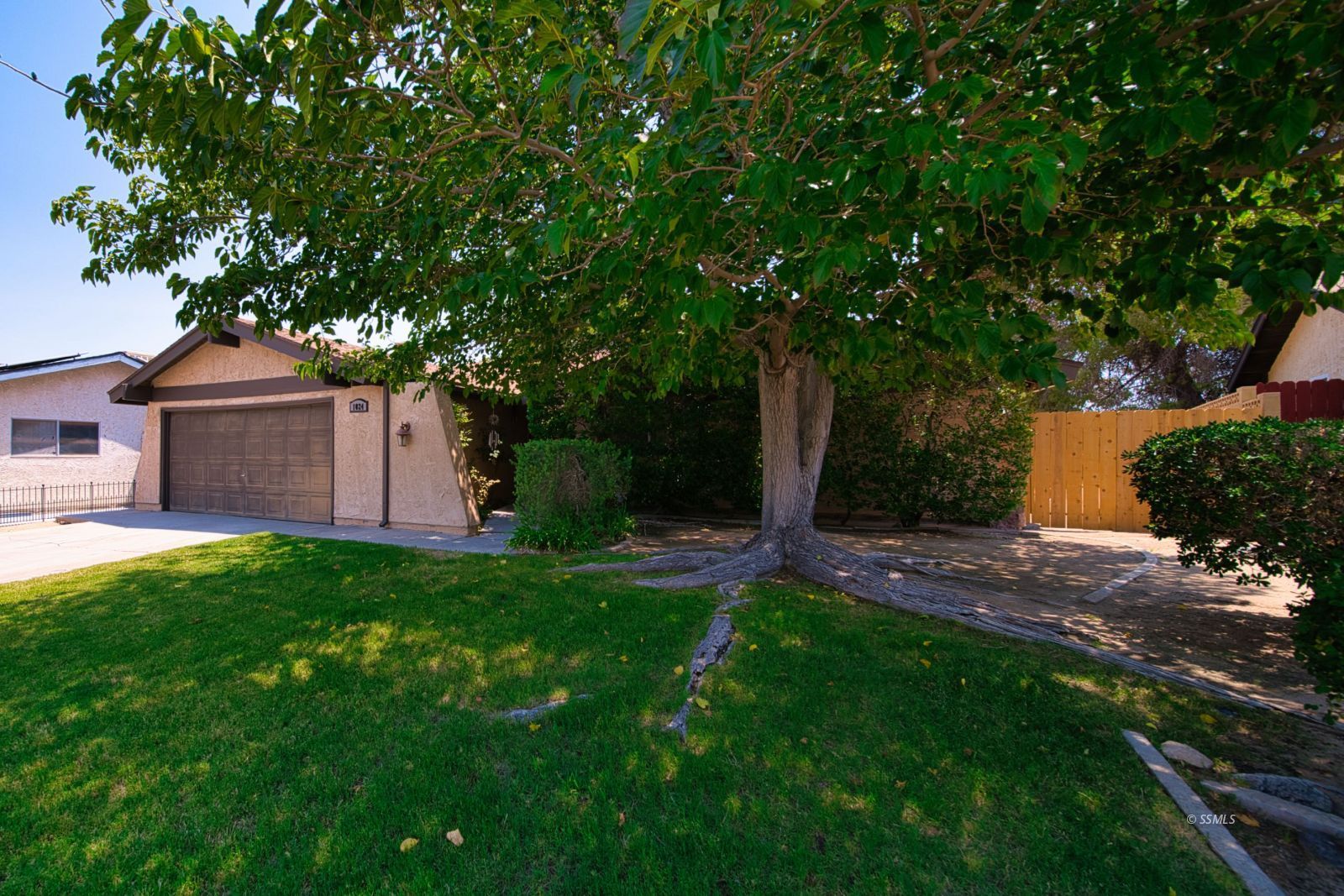 1024 Sherri Street Ridgecrest, CA 93555 - Photo 2 of 41 a backyard of a house with plants and large tree