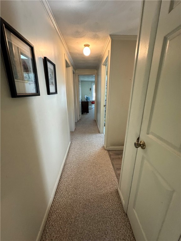 15 Queens Road Attleboro, MA 02703 - Photo 16 of 26
