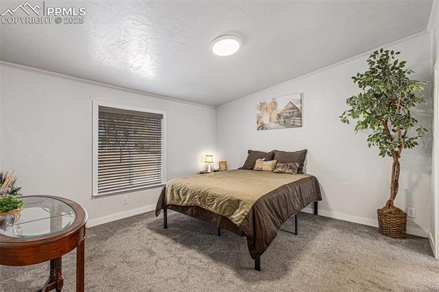 8440 Piute Road Colorado Springs, CO 80926 - Photo 14 of 34 Spacious and bright primary bedroom with soft-touch carpet, abundant natural light, a huge walk-in closet, and an adjoining bath—an inviting retreat for relaxation.