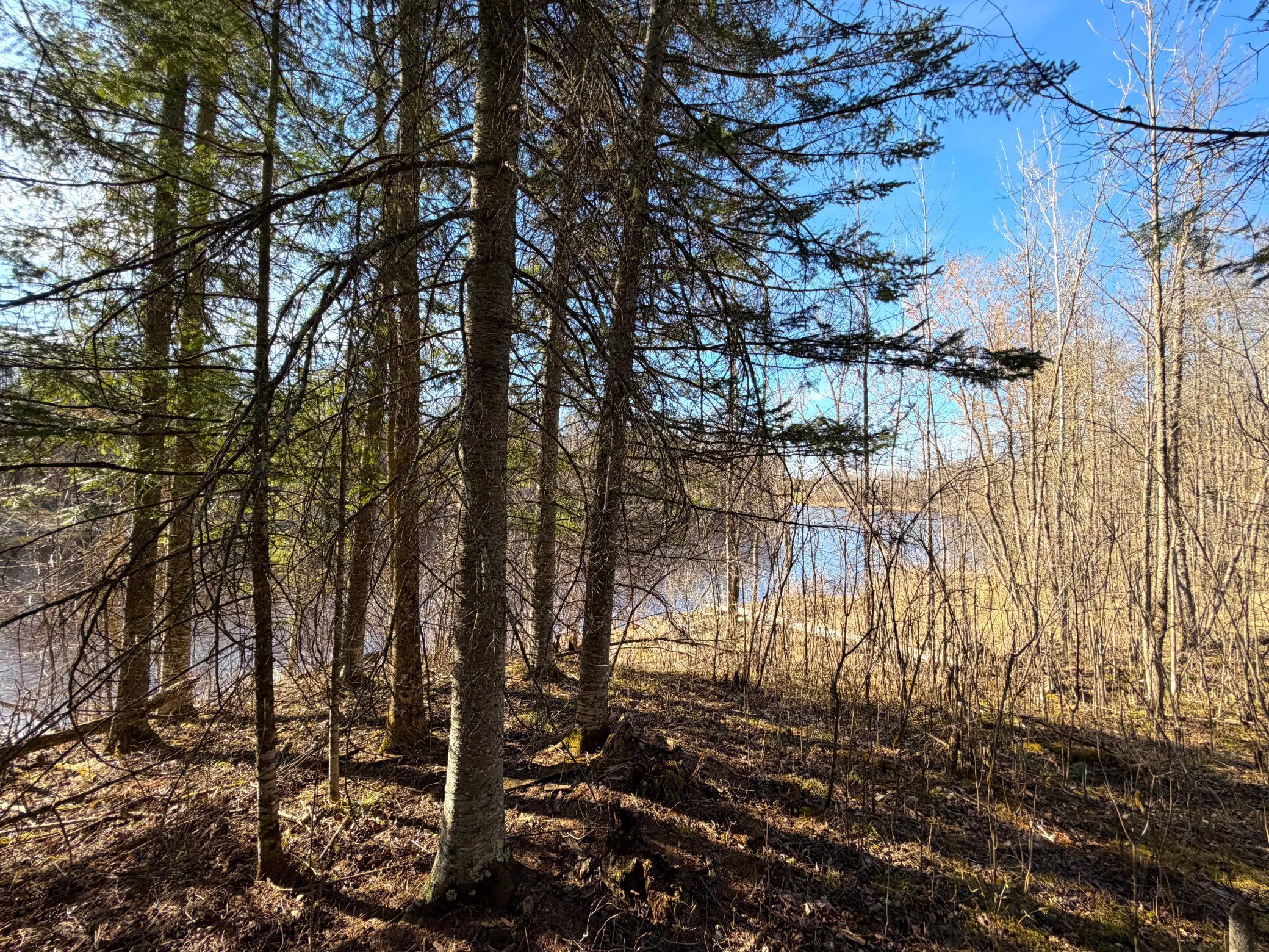 Lot F County Road 79 Littlefork, MN 56653 - Photo 29 of 44
