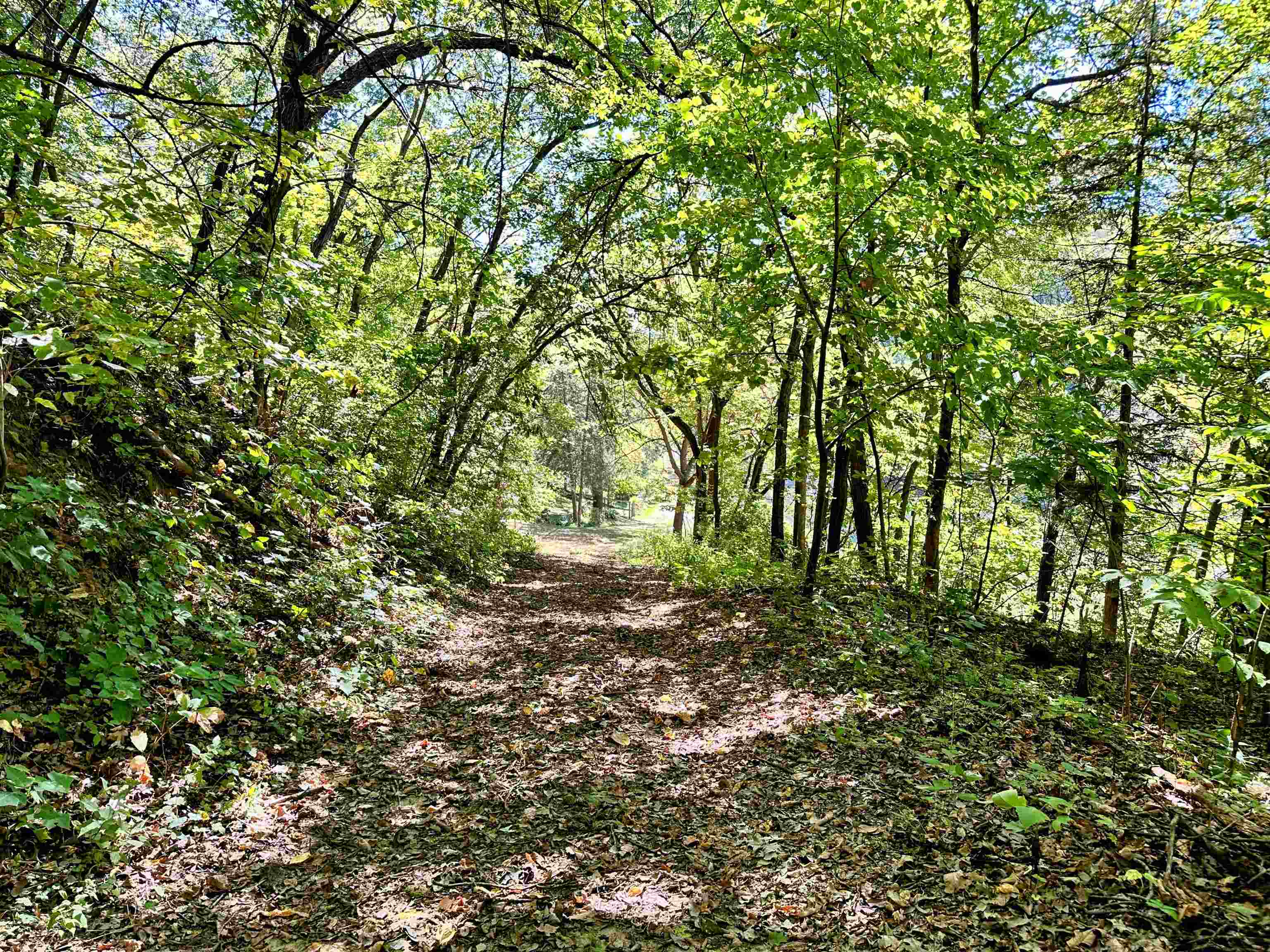 0 Cedar Bagley, WI 53801 - Photo 11 of 16