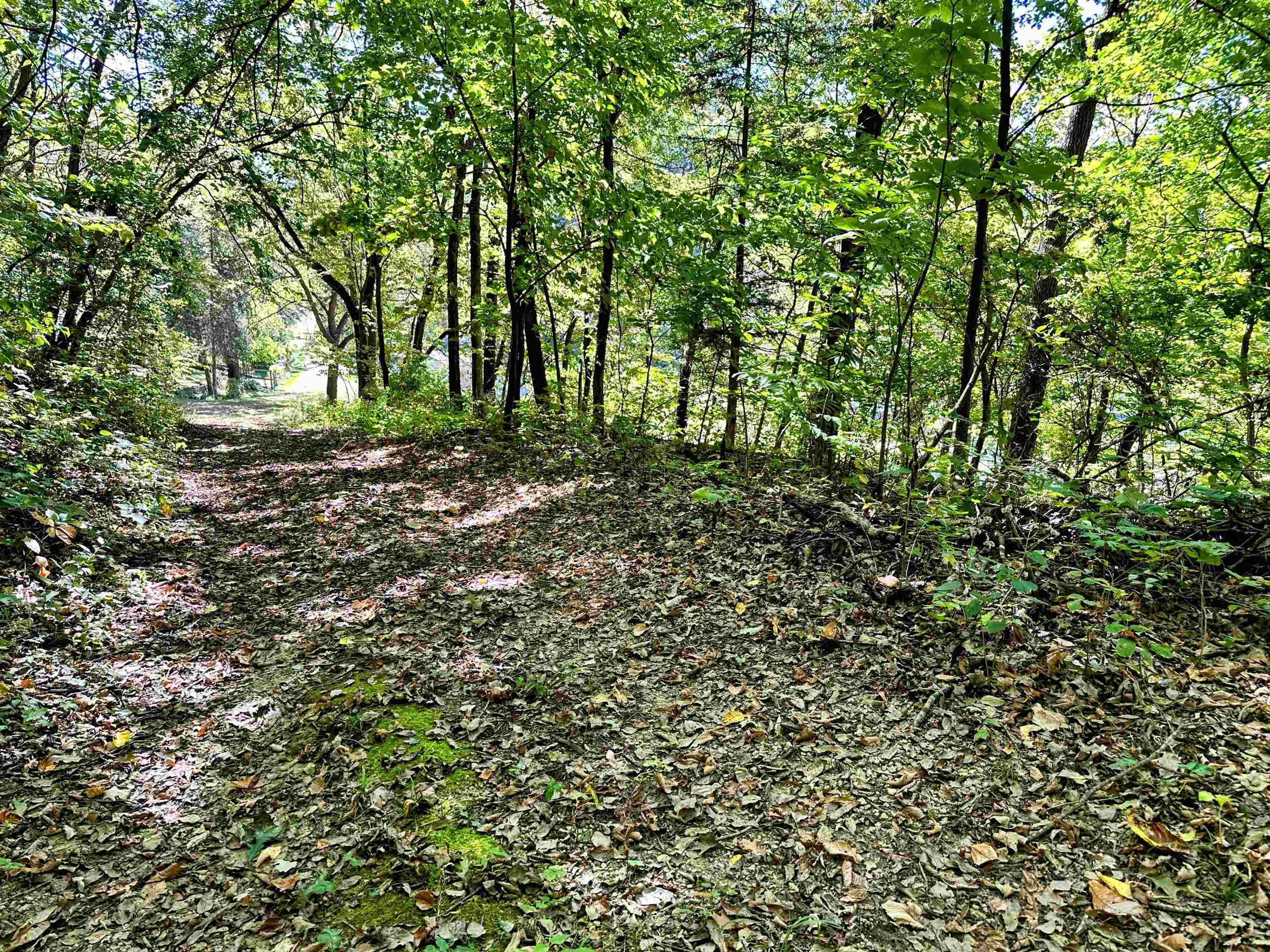 0 Cedar Bagley, WI 53801 - Photo 12 of 16