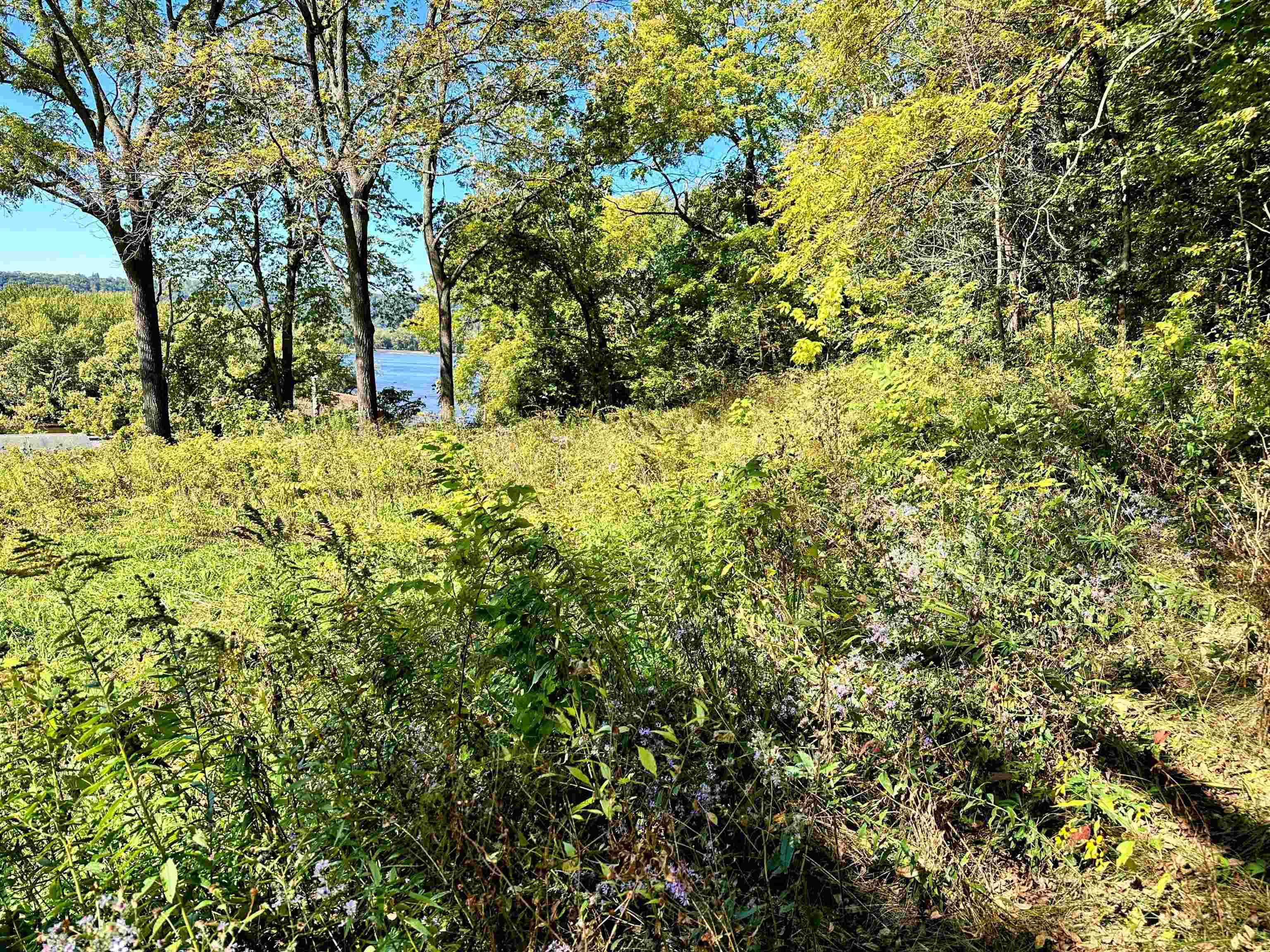 0 Cedar Bagley, WI 53801 - Photo 13 of 16