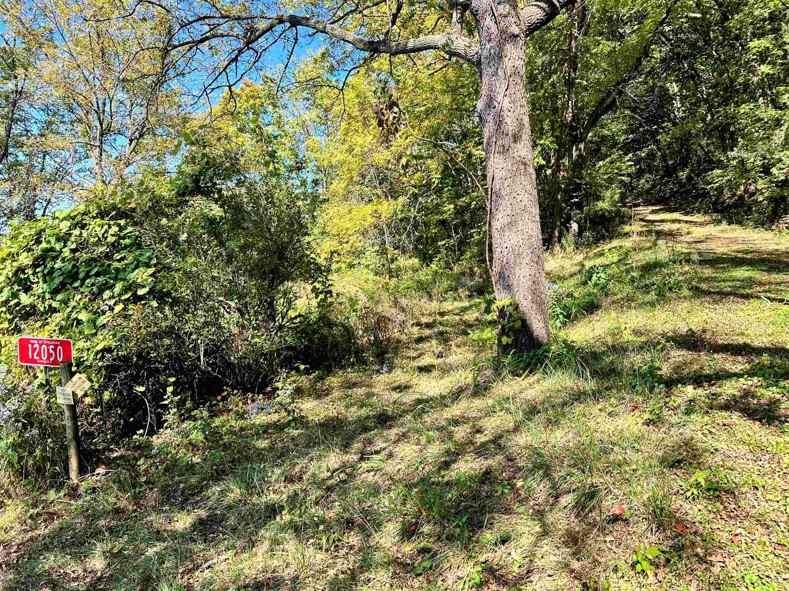 0 Cedar Bagley, WI 53801 - Photo 14 of 16