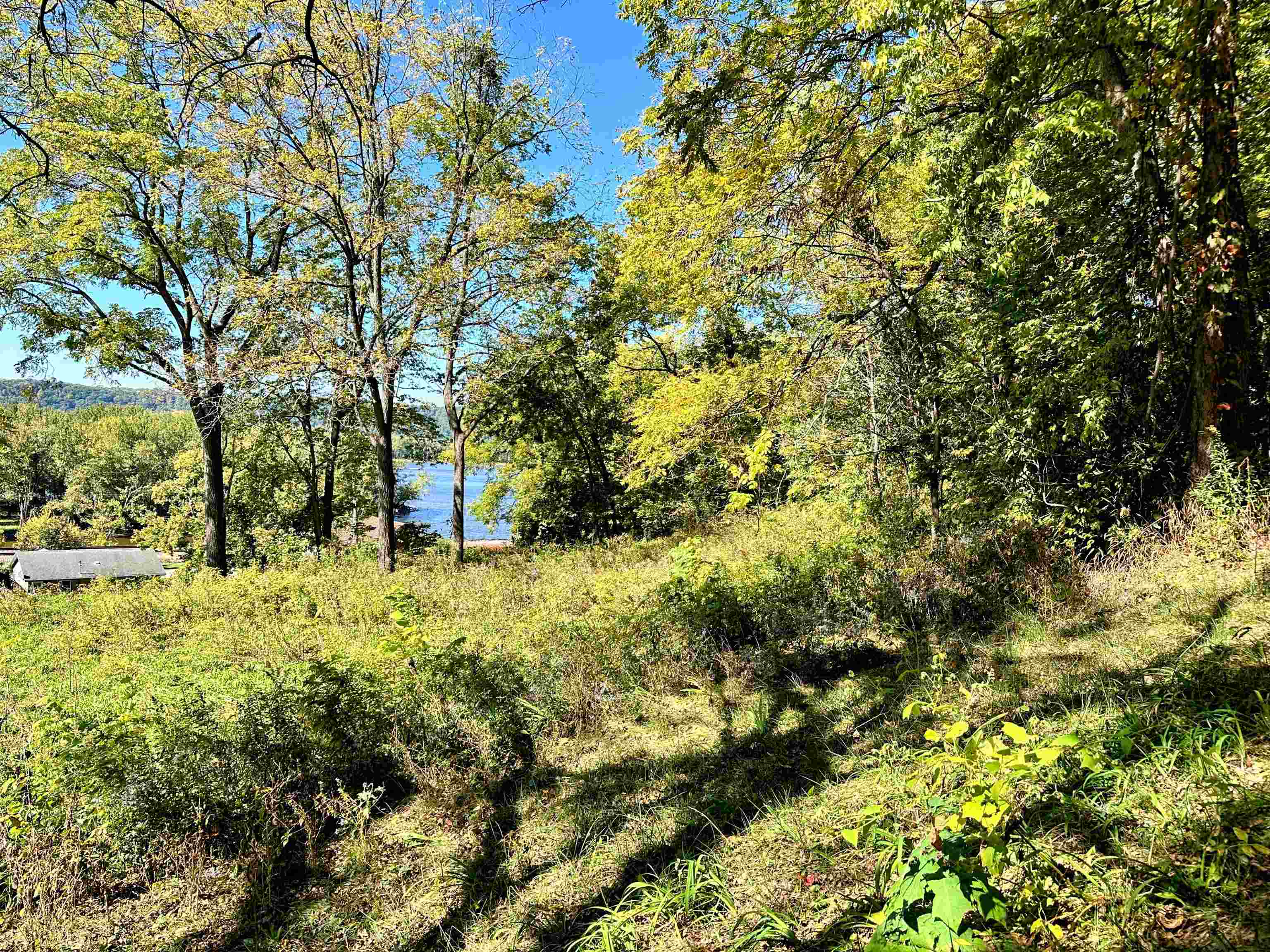 0 Cedar Bagley, WI 53801 - Photo 3 of 16