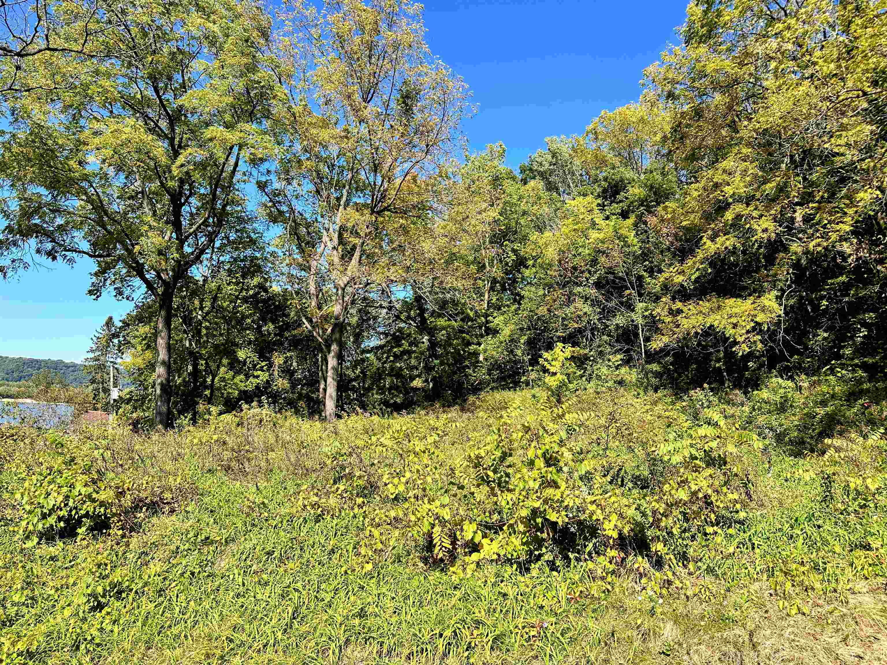 0 Cedar Bagley, WI 53801 - Photo 5 of 16