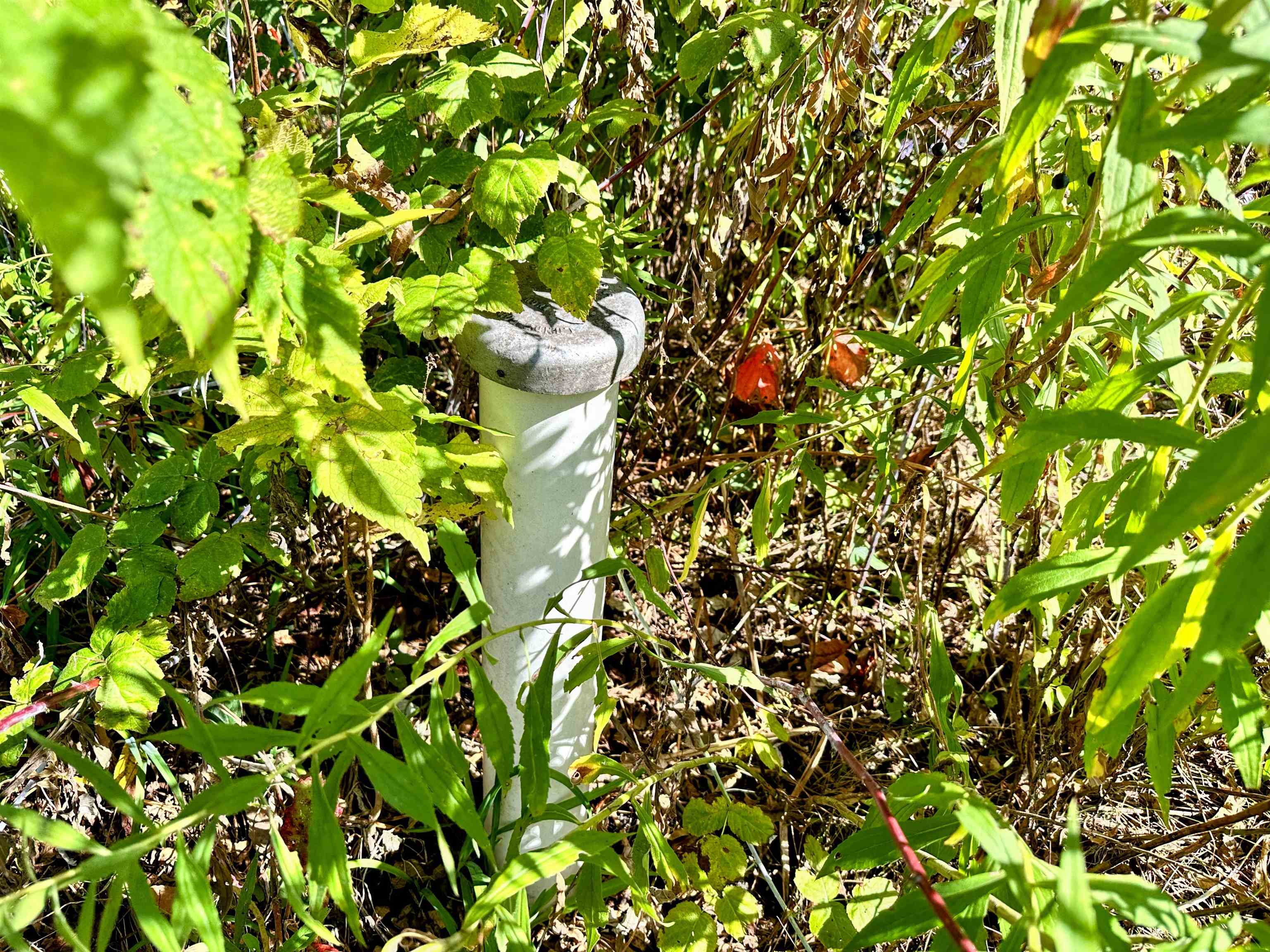 0 Cedar Bagley, WI 53801 - Photo 8 of 16