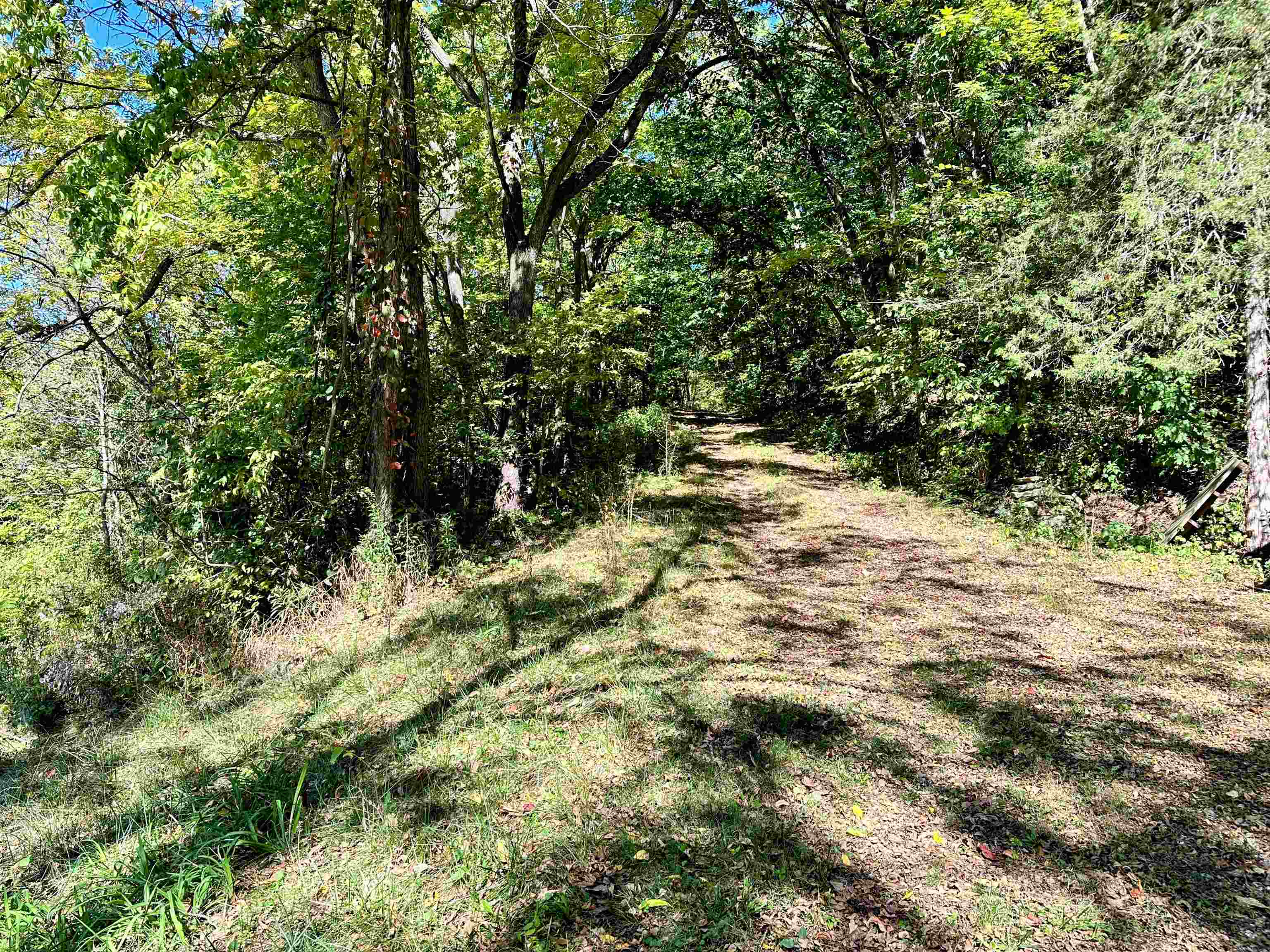 0 Cedar Bagley, WI 53801 - Photo 9 of 16