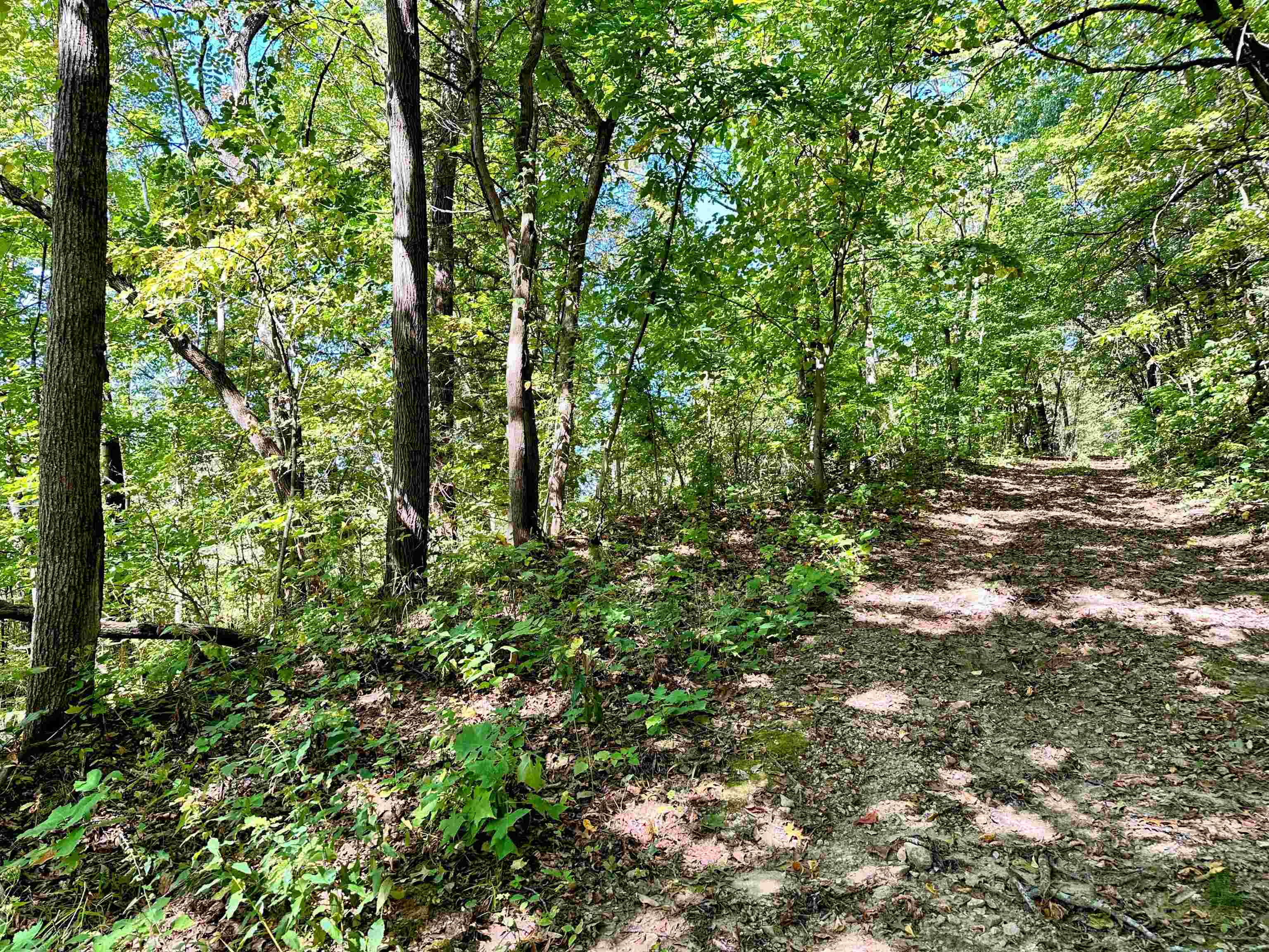 0 Cedar Bagley, WI 53801 - Photo 10 of 16