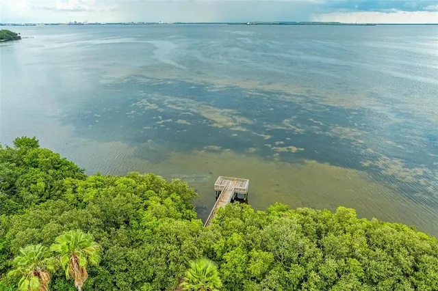 $3,100 | 2926 Bayshore Pointe Drive, Tampa, FL 33611