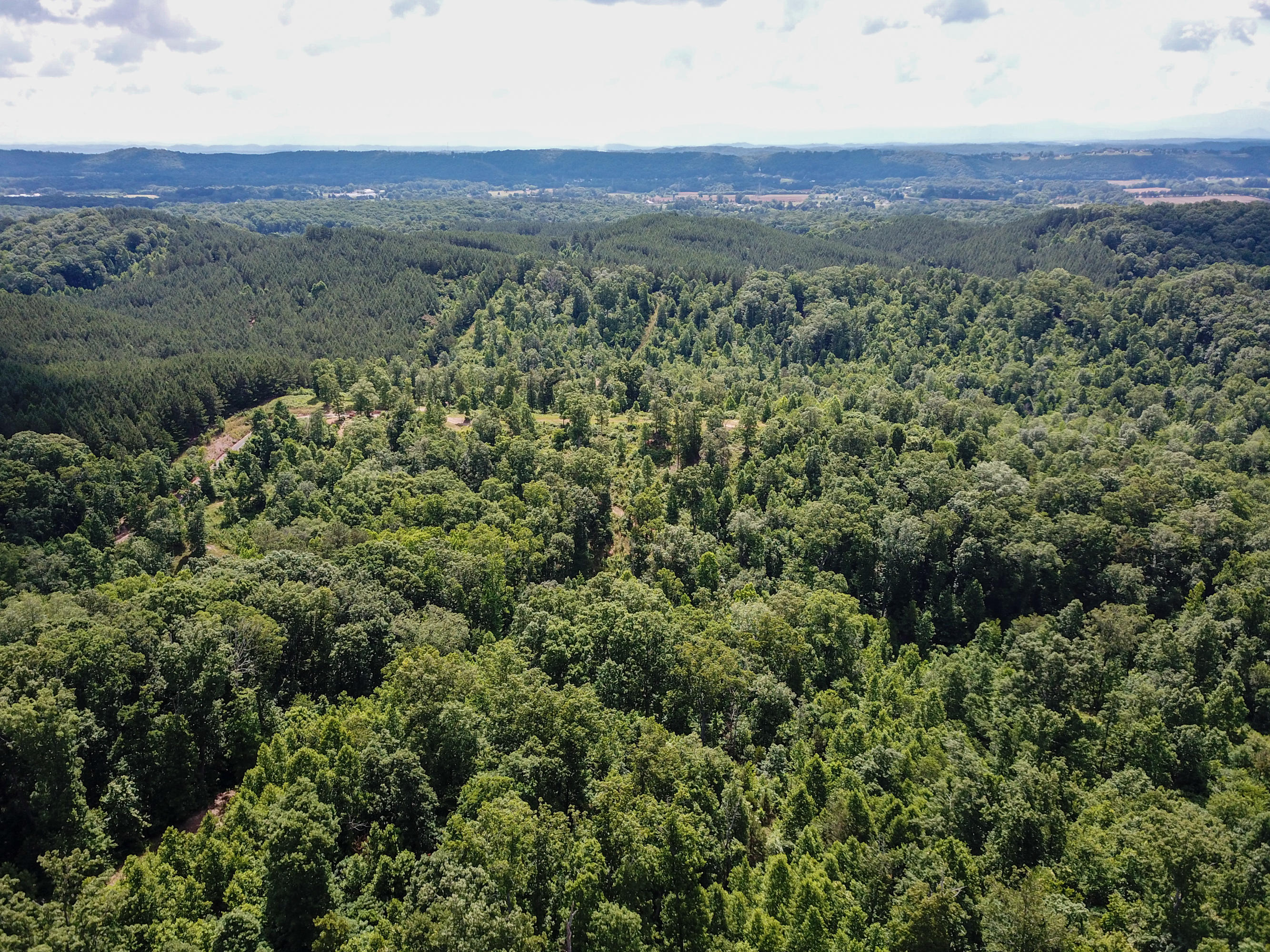 963 Van Davis Road, Unit LOT 6 & 9 Georgetown, TN 37336 - Photo 31 of 34 963 Van Davis Rd-6