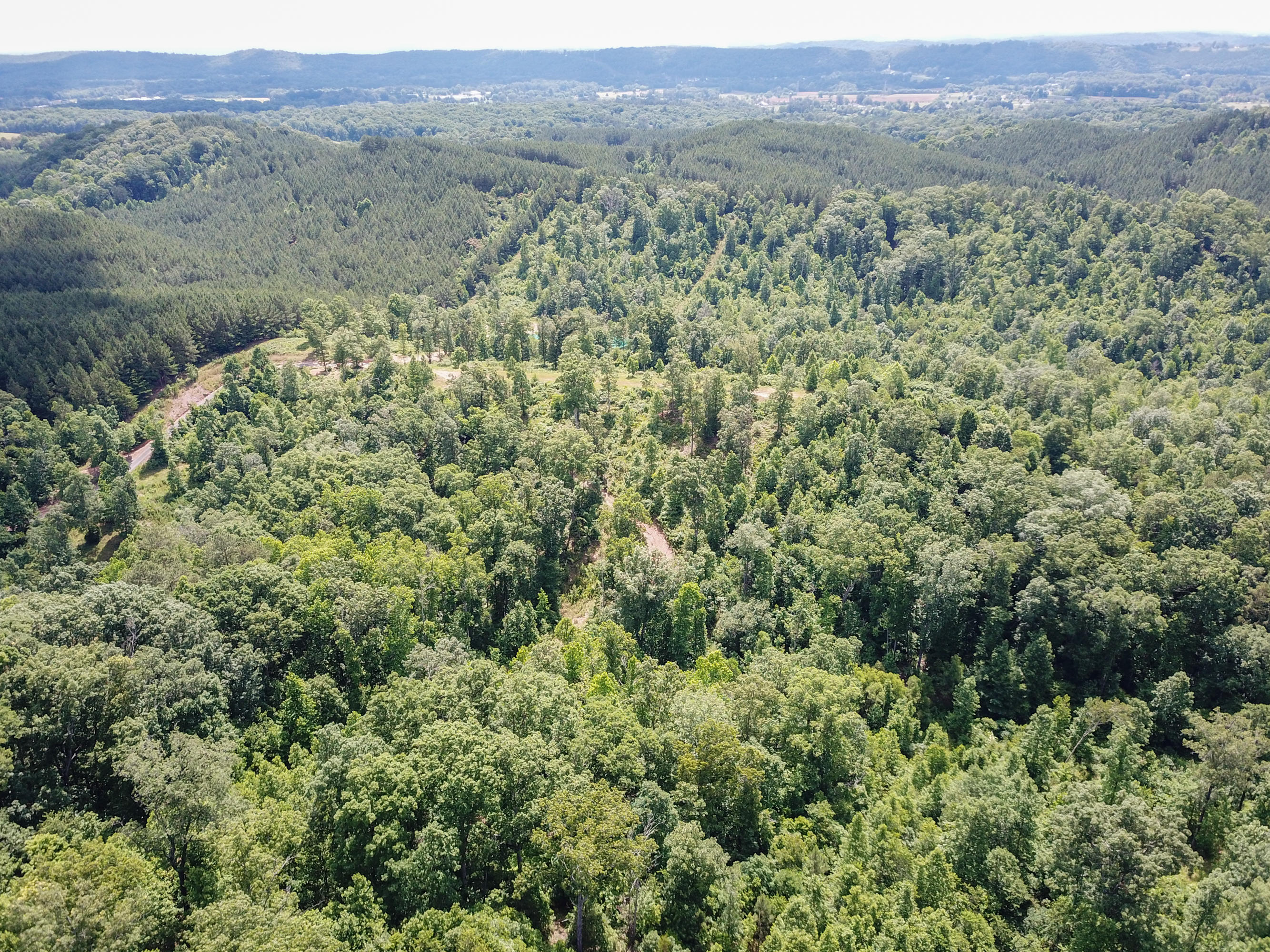 963 Van Davis Road, Unit LOT 6 & 9 Georgetown, TN 37336 - Photo 32 of 34 963 Van Davis Rd-7