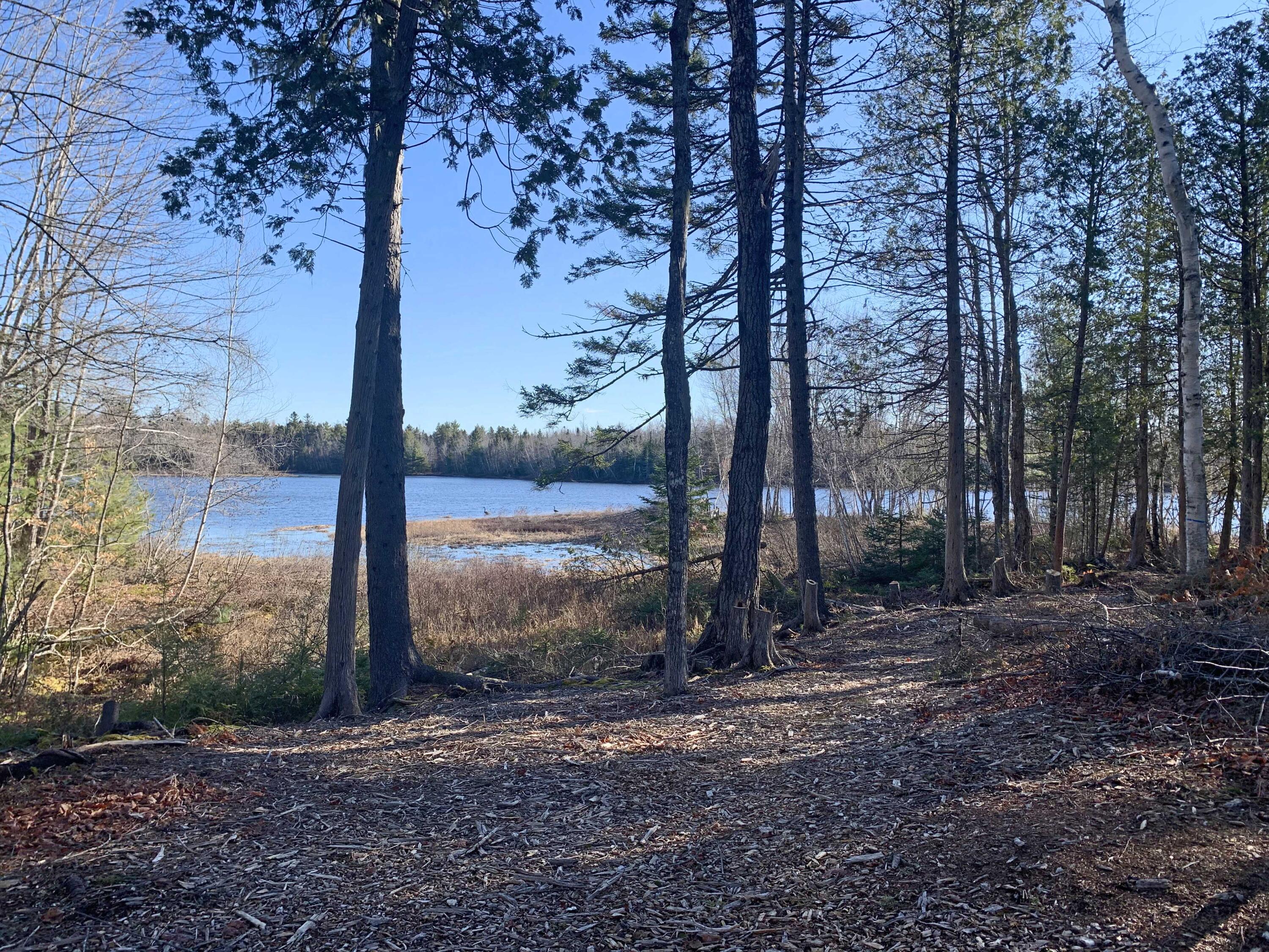 170 Tannery Brook Road Ellsworth, ME 04605 - Photo 29 of 43 4c