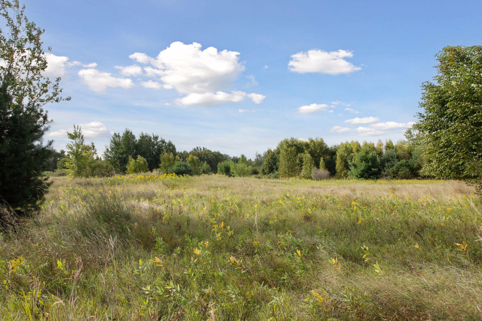 0 236th Lane Northeast Bethel, MN 55005 - Photo 12 of 15