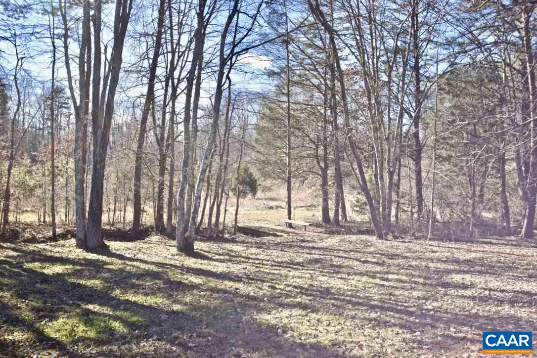 2852 Milton Road Charlottesville, VA 22902 - Photo 49 of 49 a view of a yard with large trees
