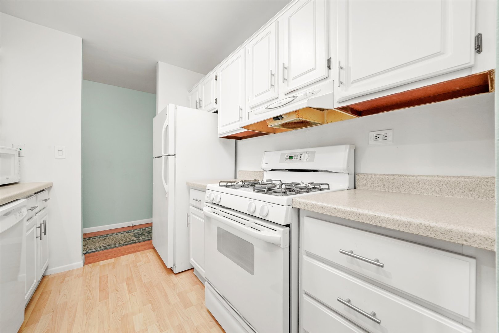 1926 Prairie Square, Unit 210B Schaumburg, IL 60173 - Photo 4 of 20