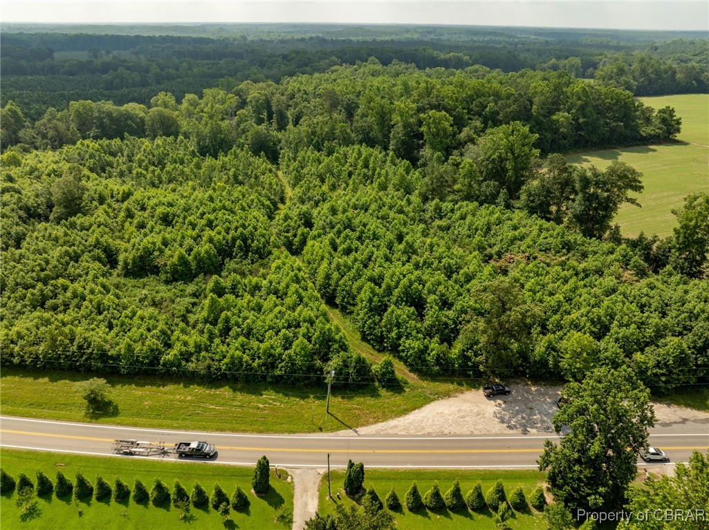 138-acres Dutton Road Gloucester, VA 23061 - Photo 22 of 37 Gallery Image 22
