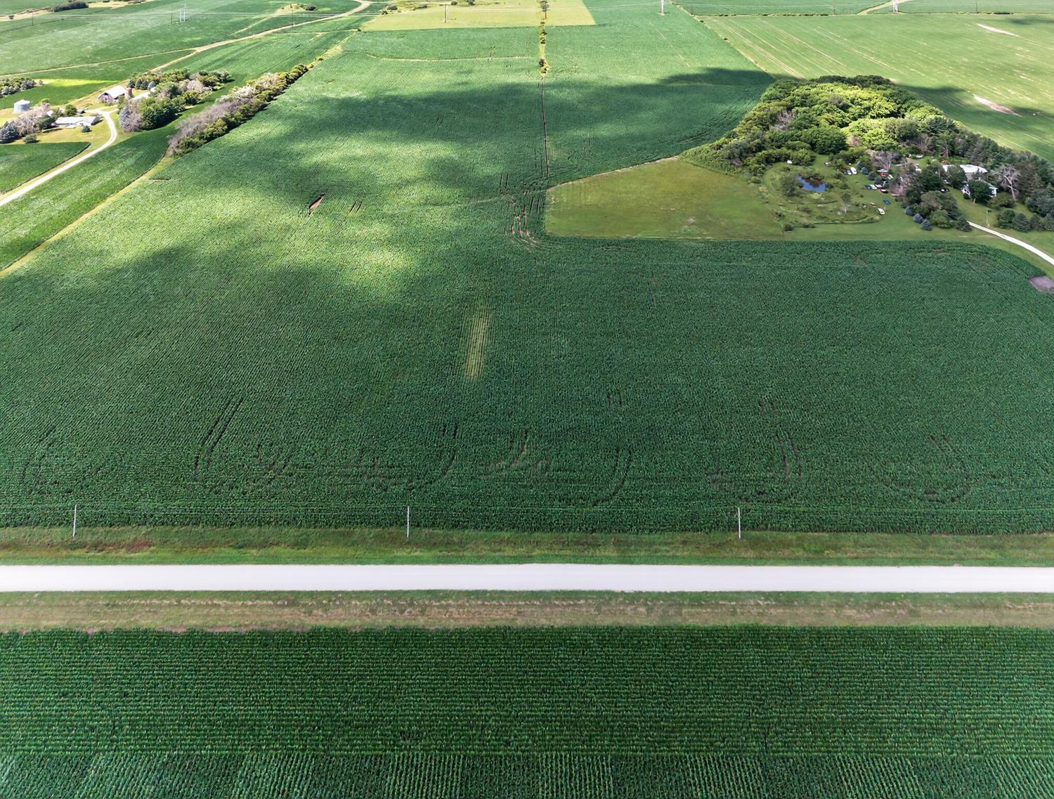 149 County Road 149 Southwest Hayfield, MN 55940 - Photo 14 of 34