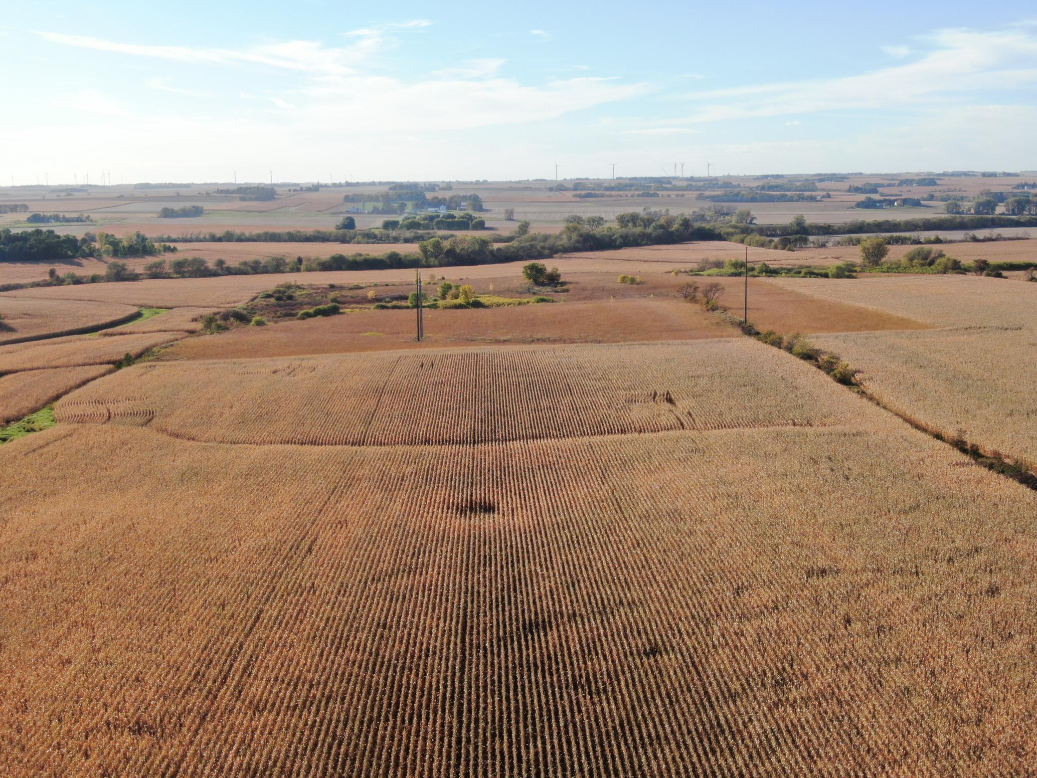 149 County Road 149 Southwest Hayfield, MN 55940 - Photo 25 of 34