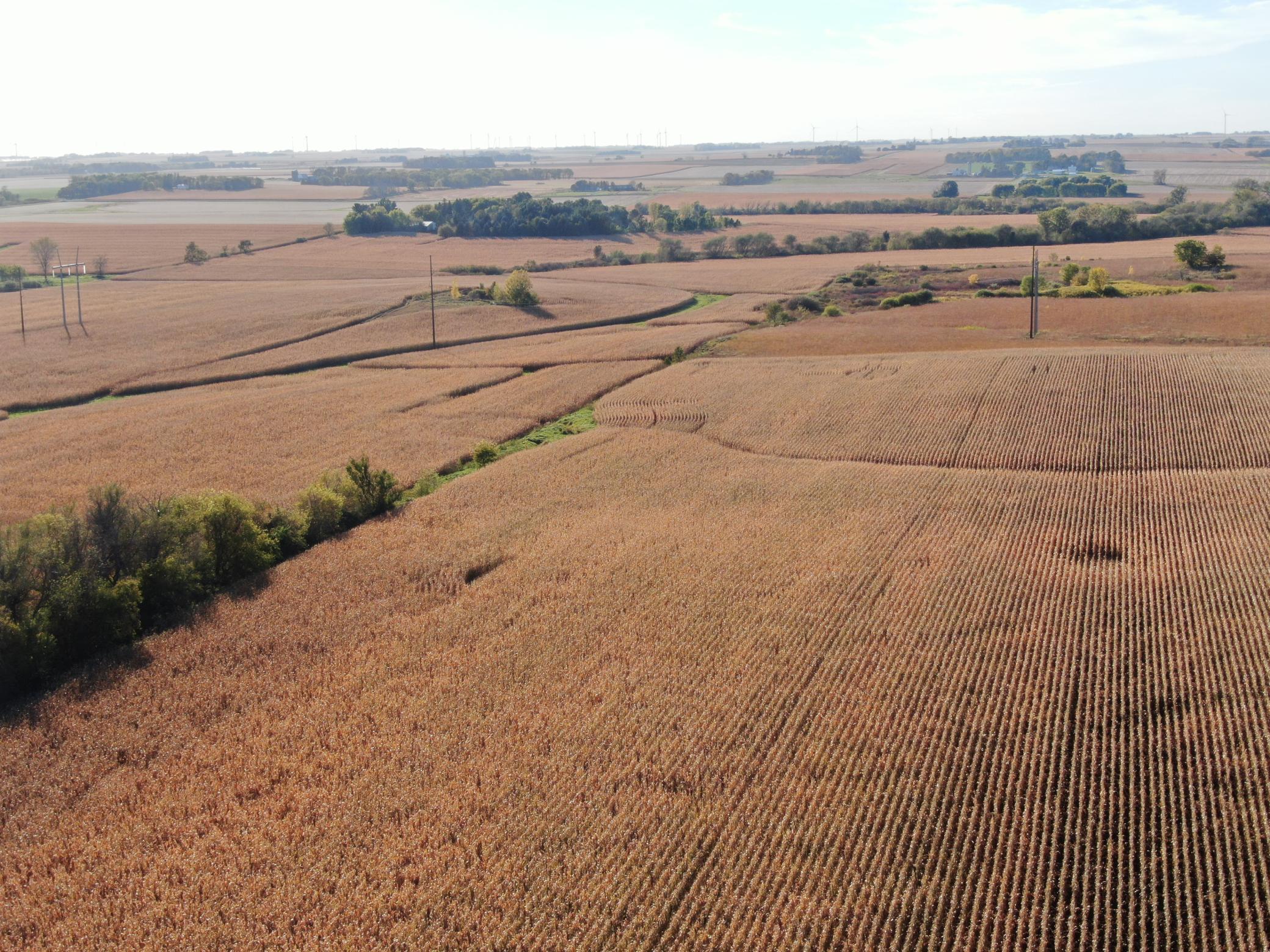 149 County Road 149 Southwest Hayfield, MN 55940 - Photo 27 of 34