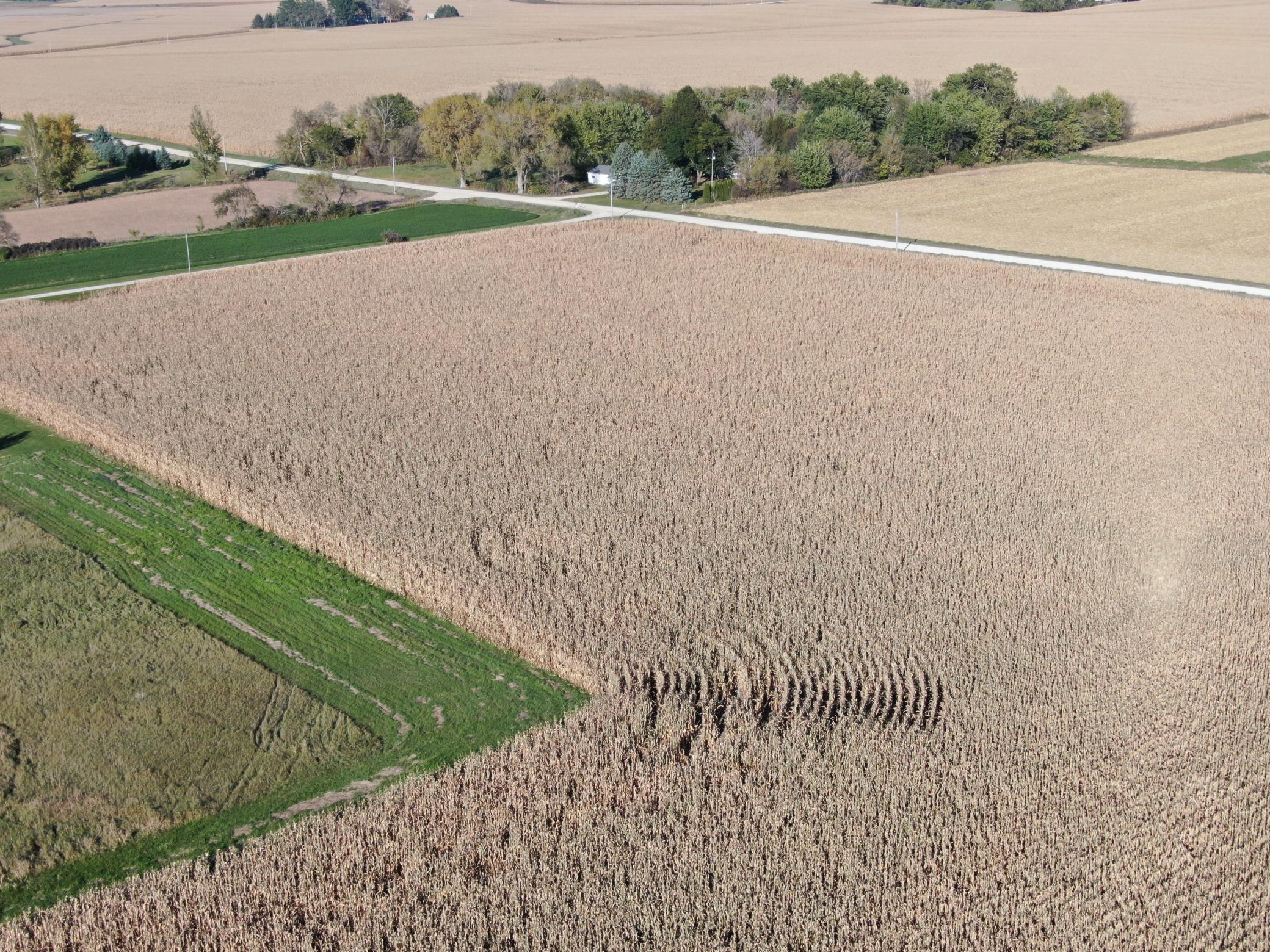149 County Road 149 Southwest Hayfield, MN 55940 - Photo 28 of 34