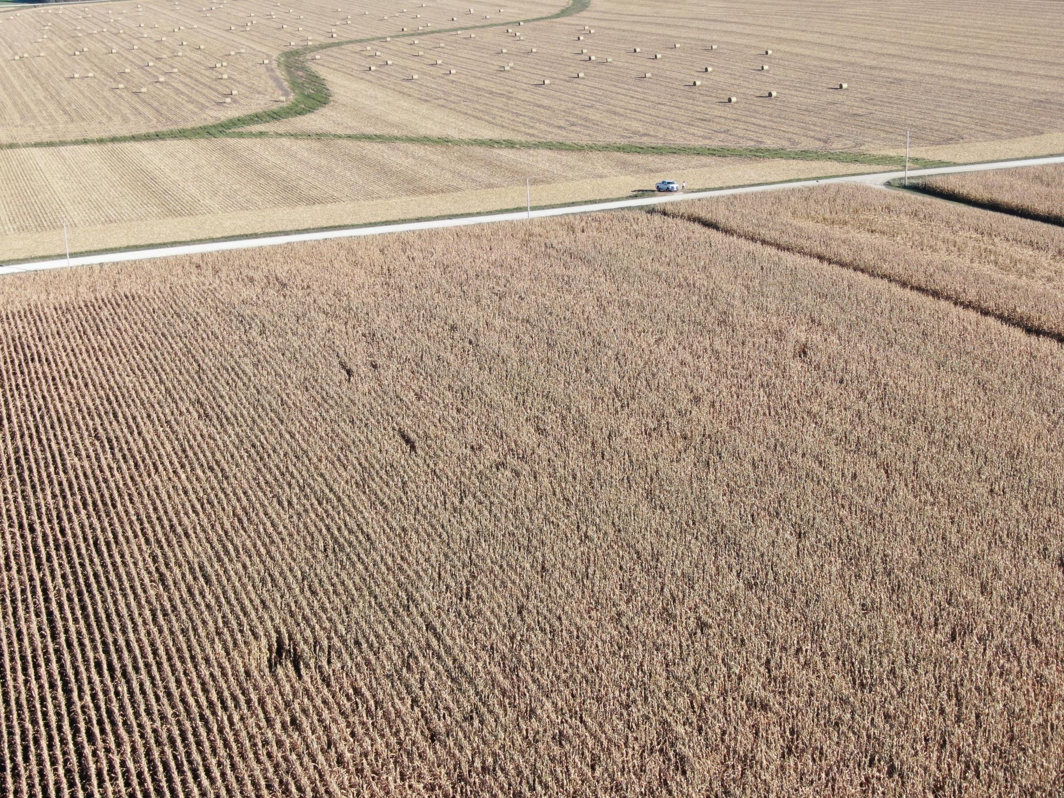 149 County Road 149 Southwest Hayfield, MN 55940 - Photo 29 of 34