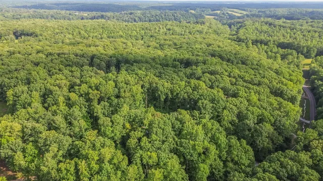 a view of a green yard