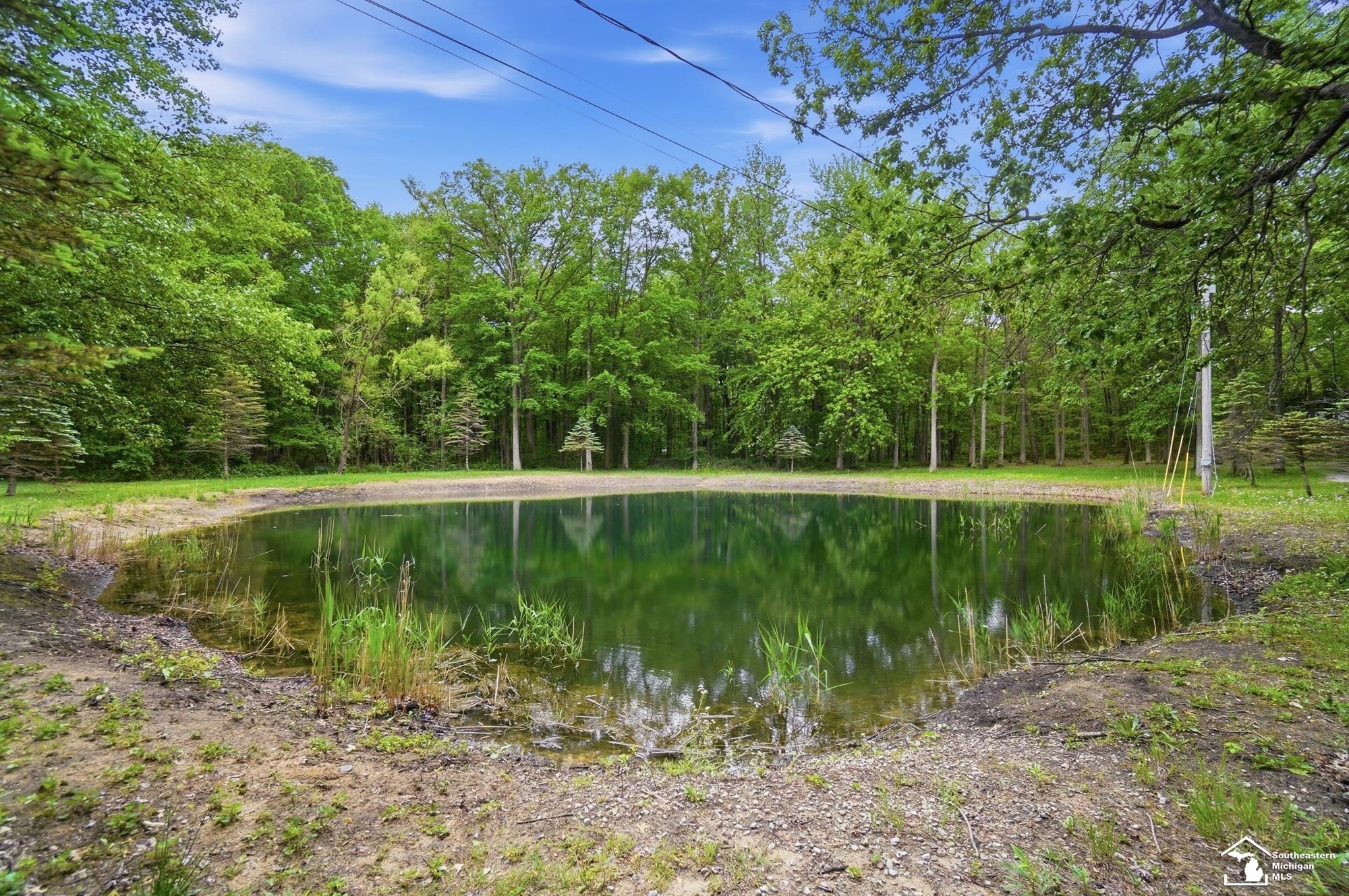 12494 Timber Ridge Trail Ida, MI 48140 - Photo 18 of 99